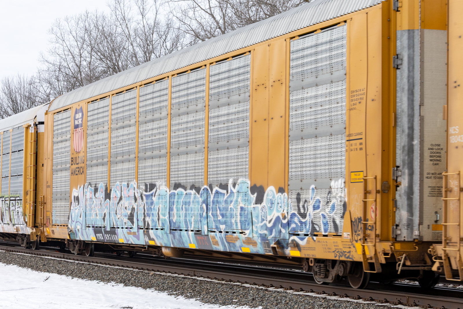TTGX 697460
