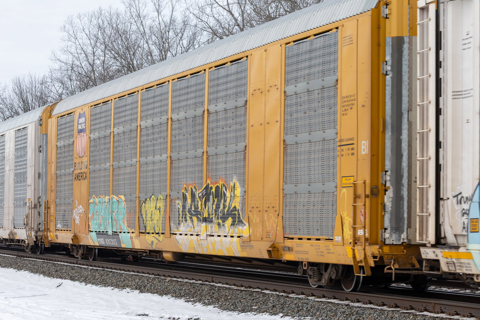 TTGX 697317