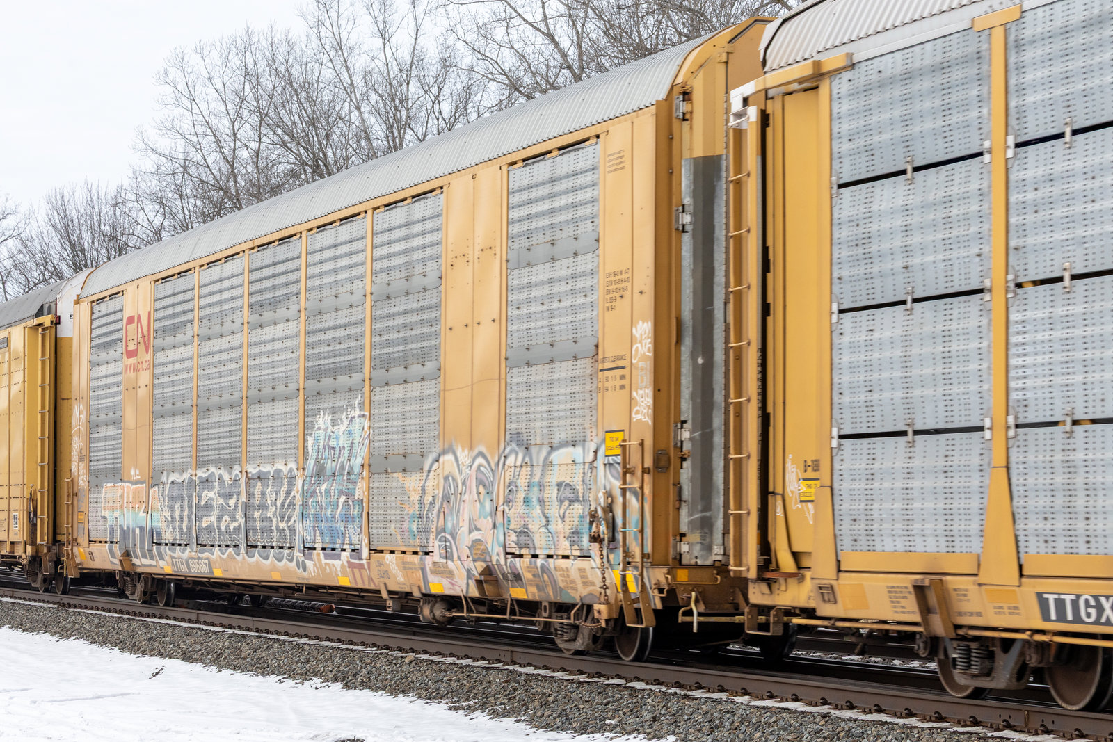 TTGX 696667