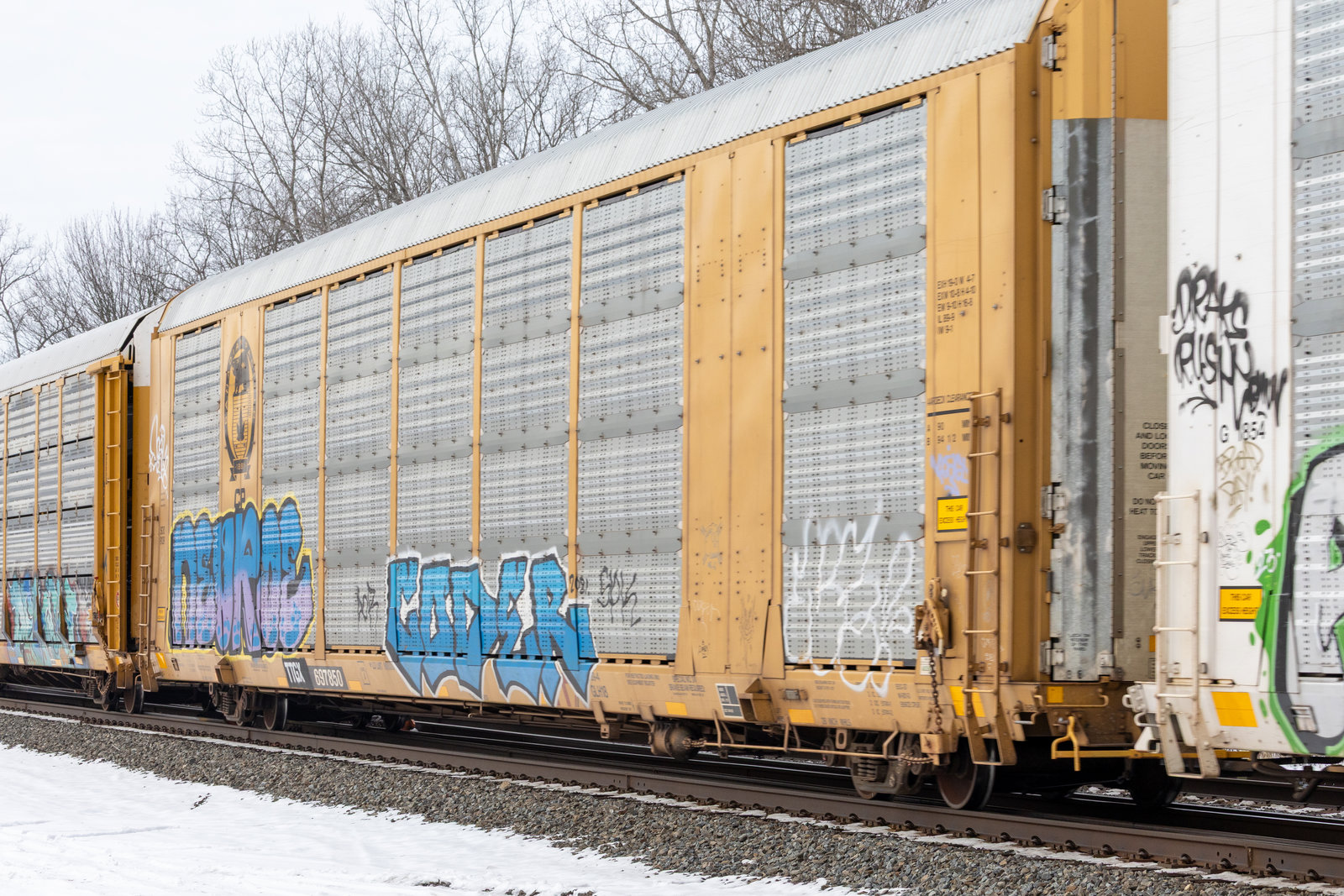 TTGX 697850