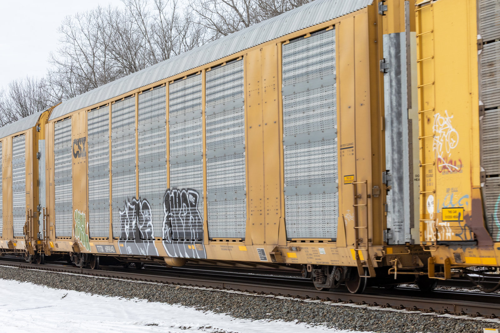 TTGX 699840