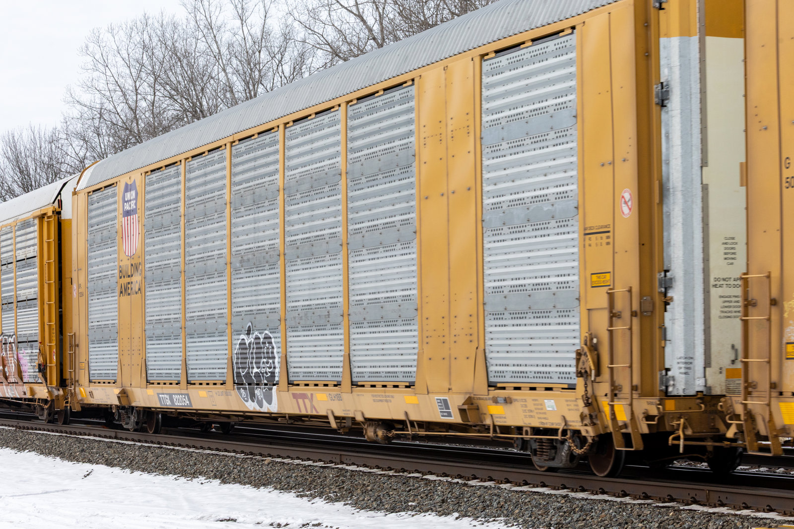 TTGX 822054