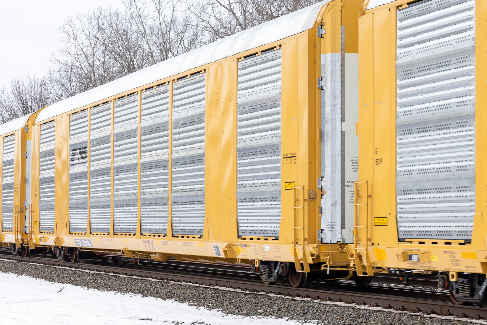 TTGX 824030