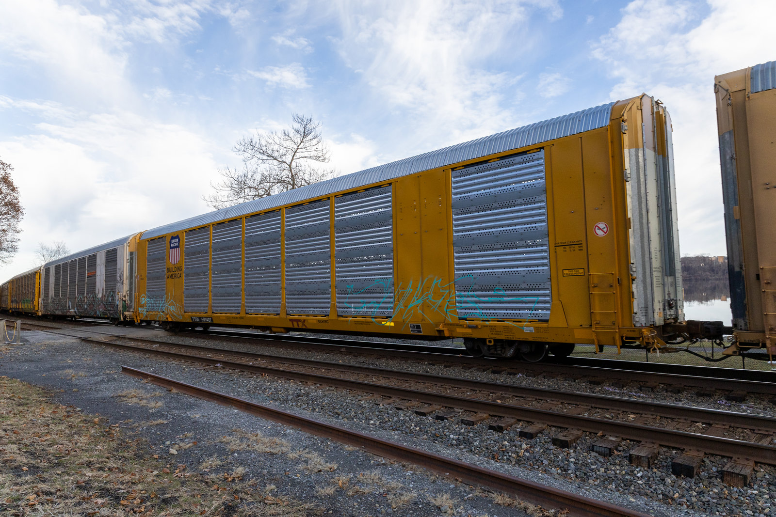 TTGX 699407