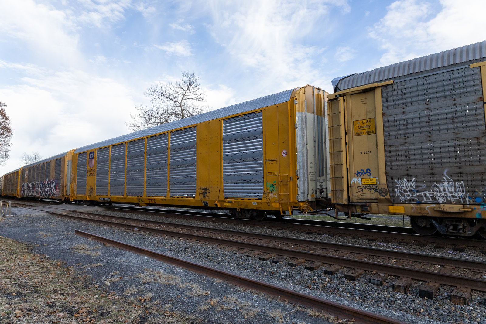 TTGX 698968