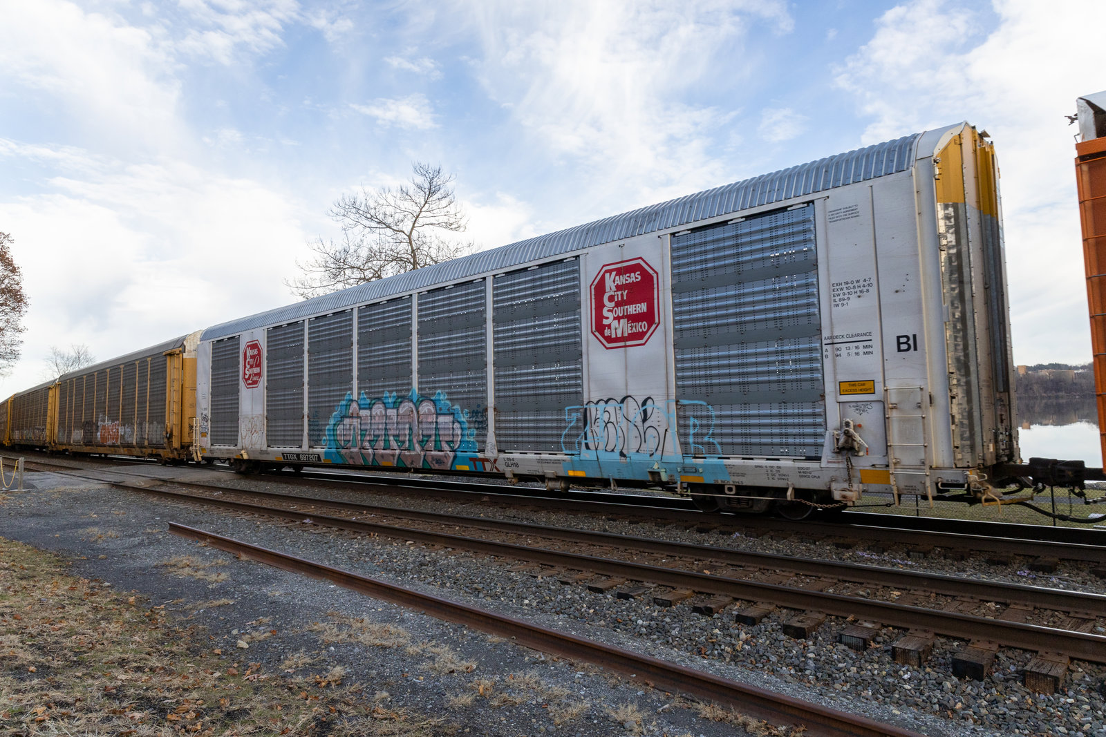 TTGX 697207