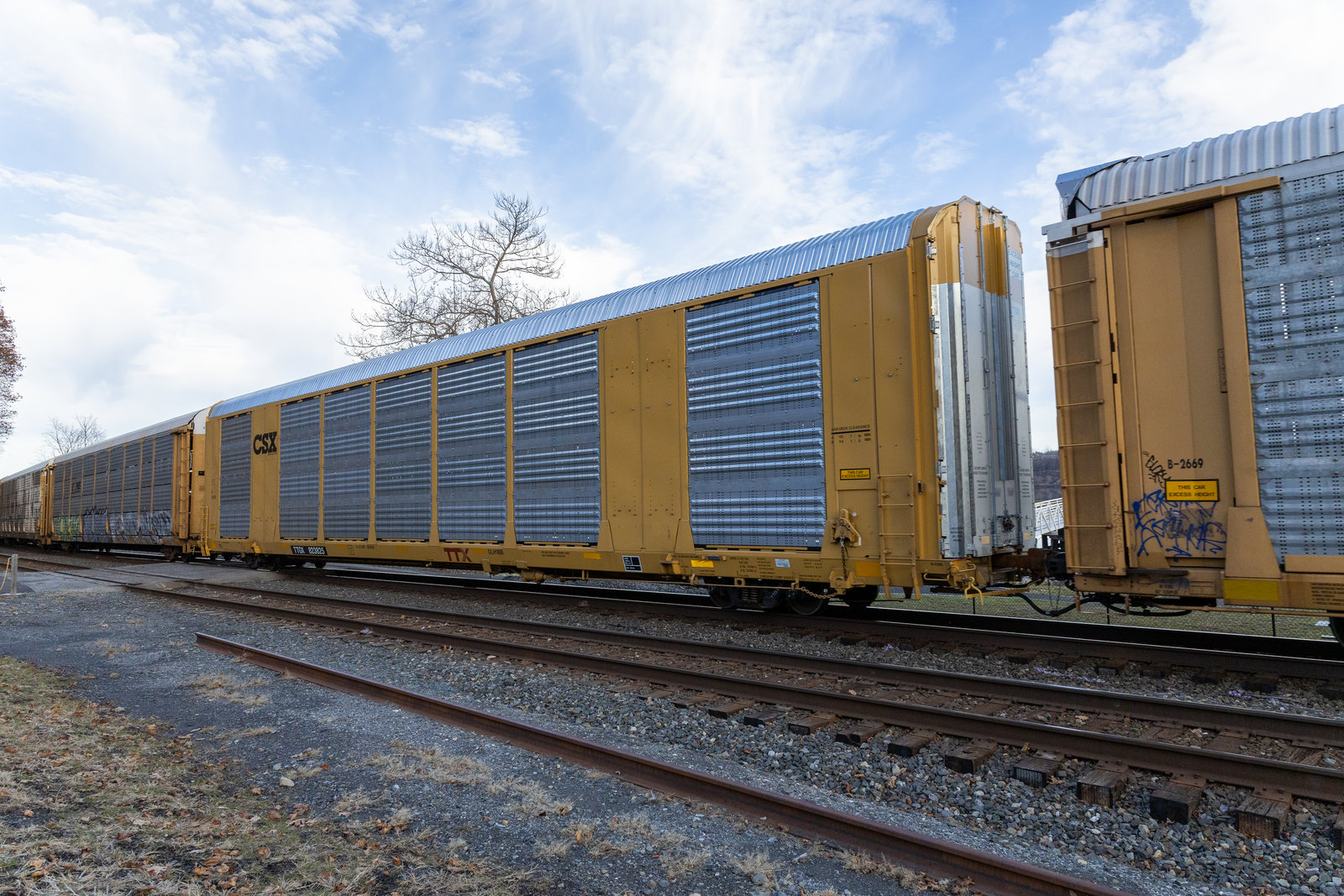TTGX 823825