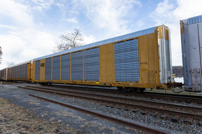 TTGX 823783