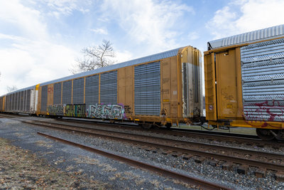 TTGX 696931