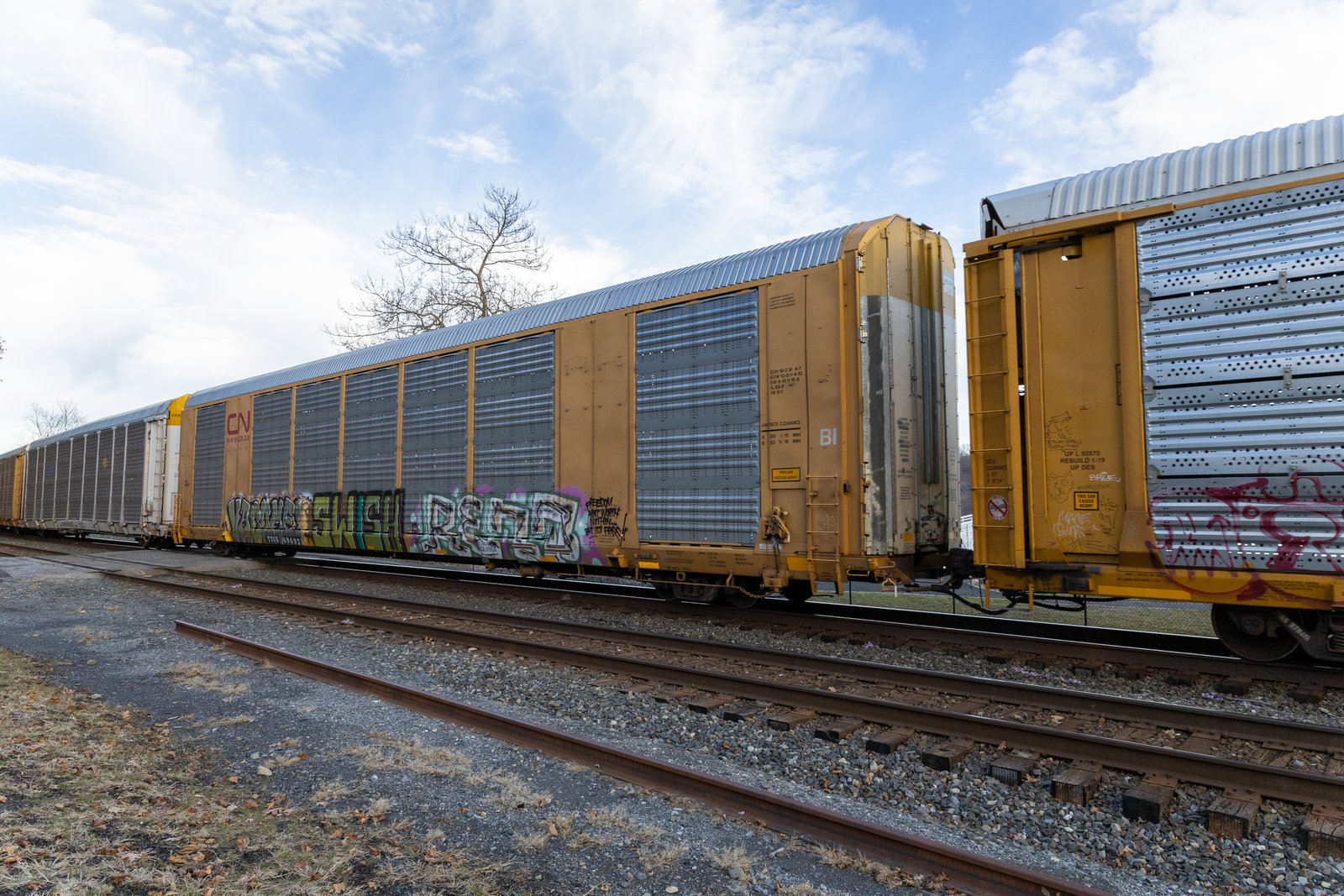 TTGX 696931