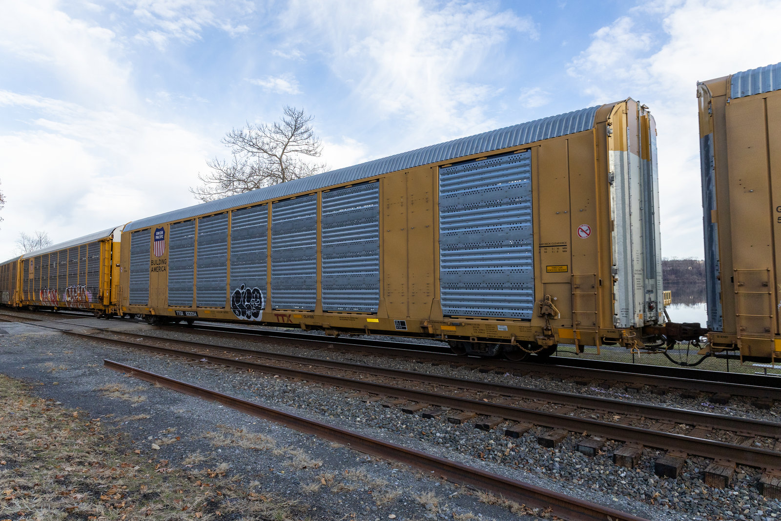 TTGX 822054