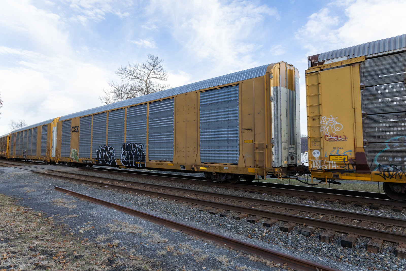 TTGX 699840