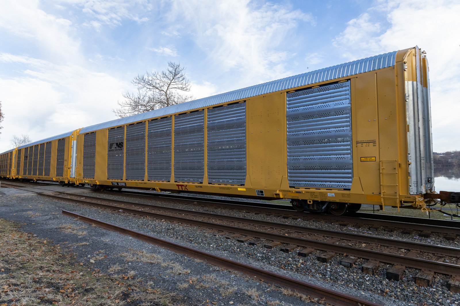 TTGX 823980