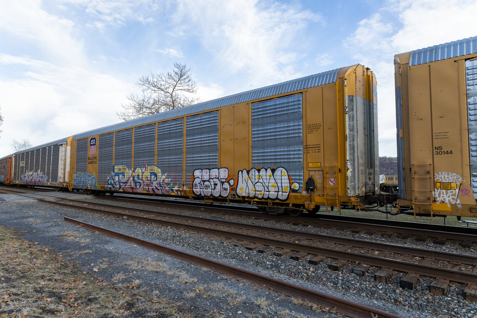 TTGX 697519