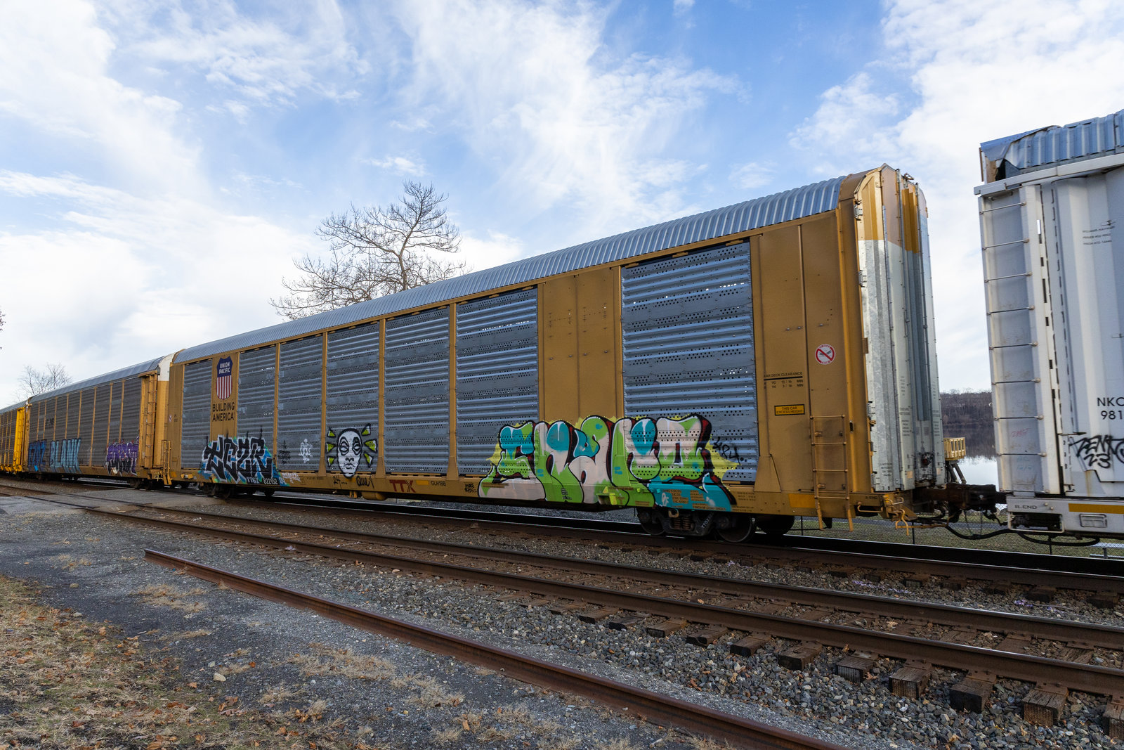 TTGX 822152