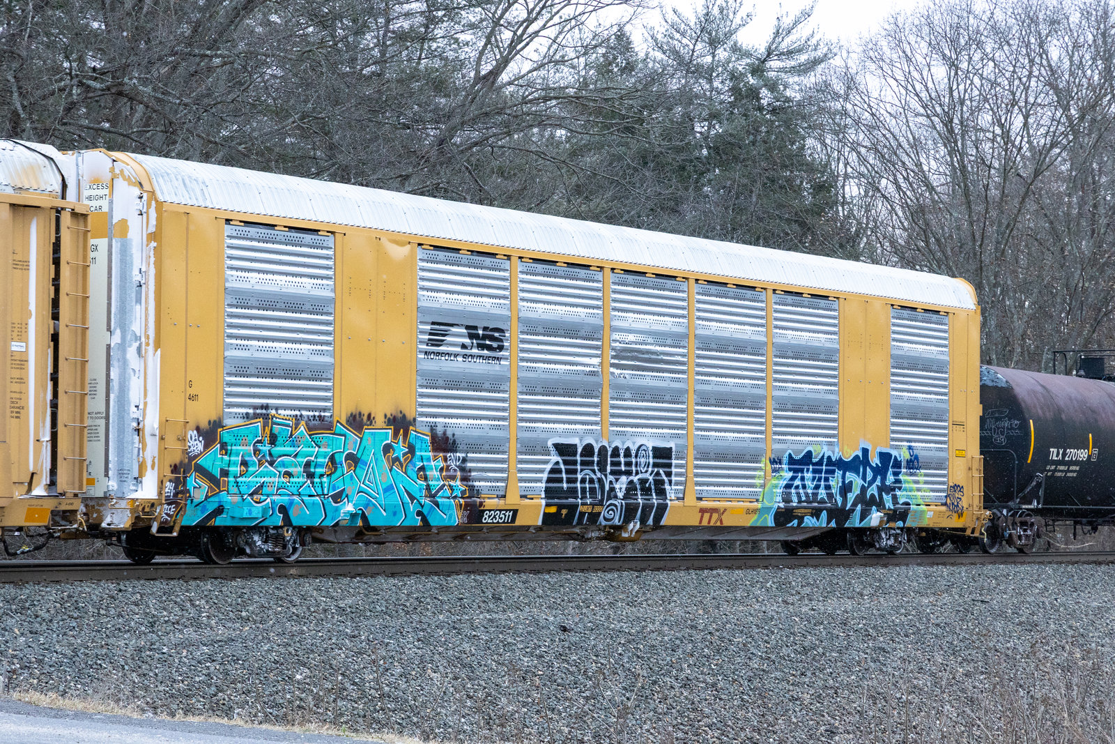 TTGX 823511