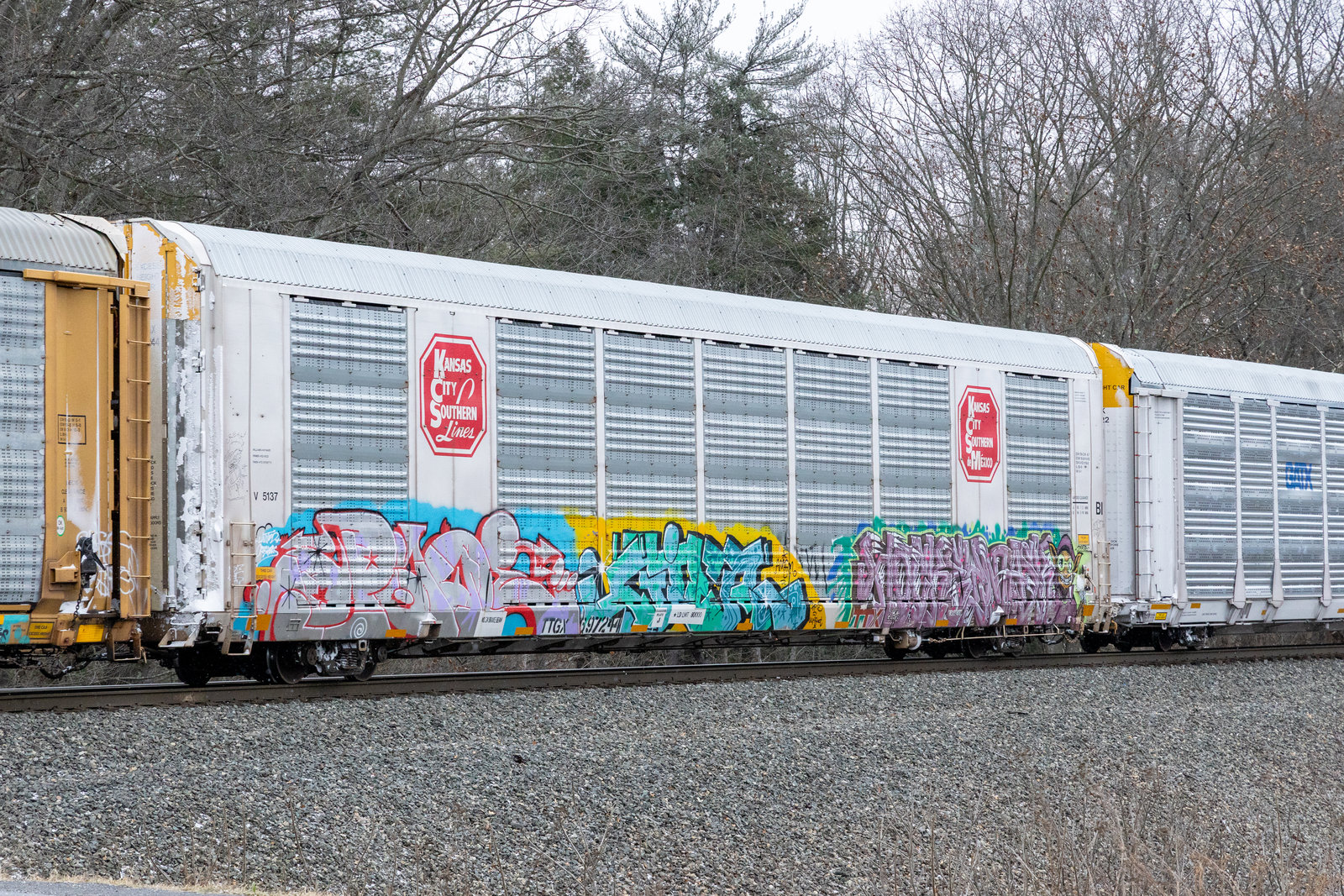 TTGX 697244