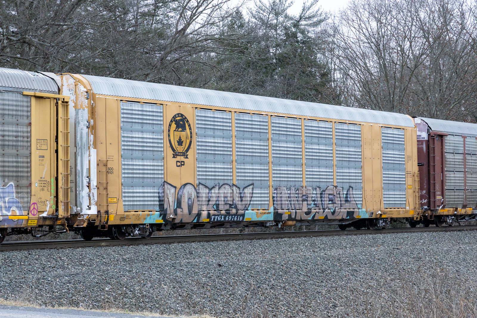 TTGX 697610