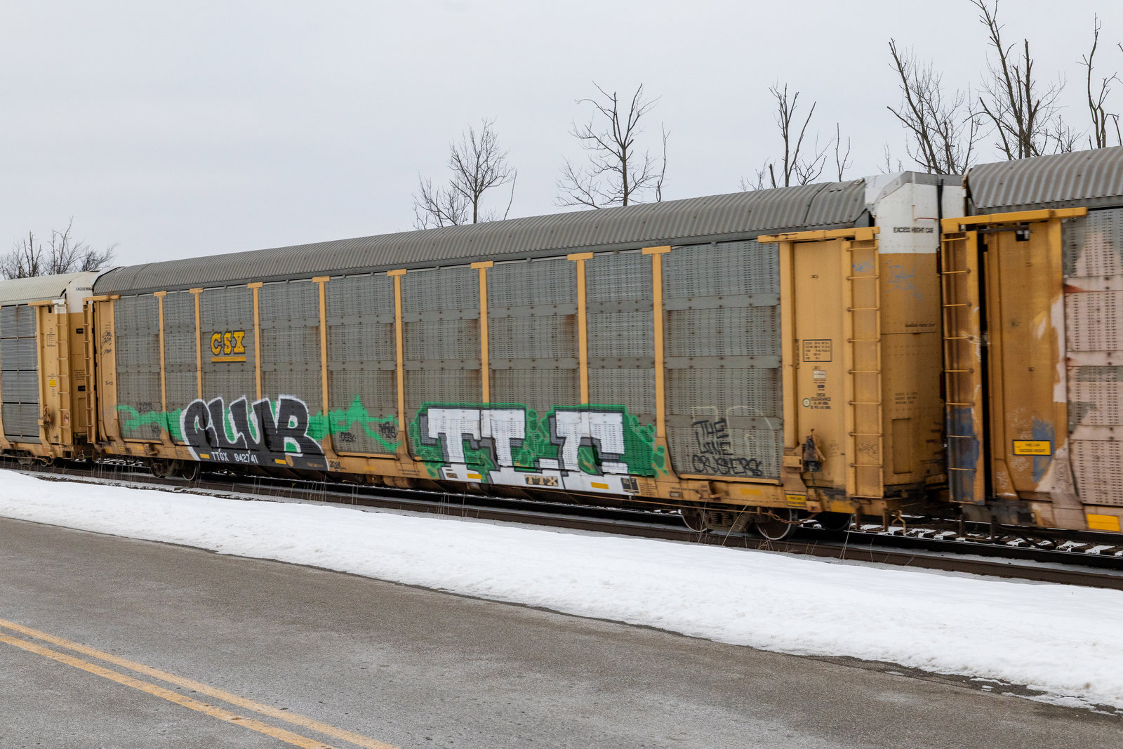 TTGX 942741