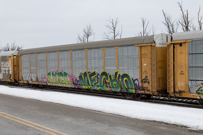 TTGX 992123