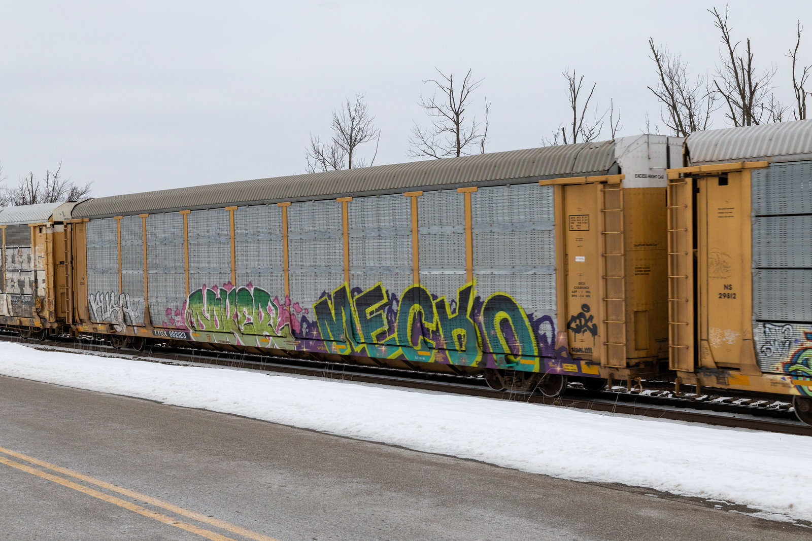 TTGX 992123