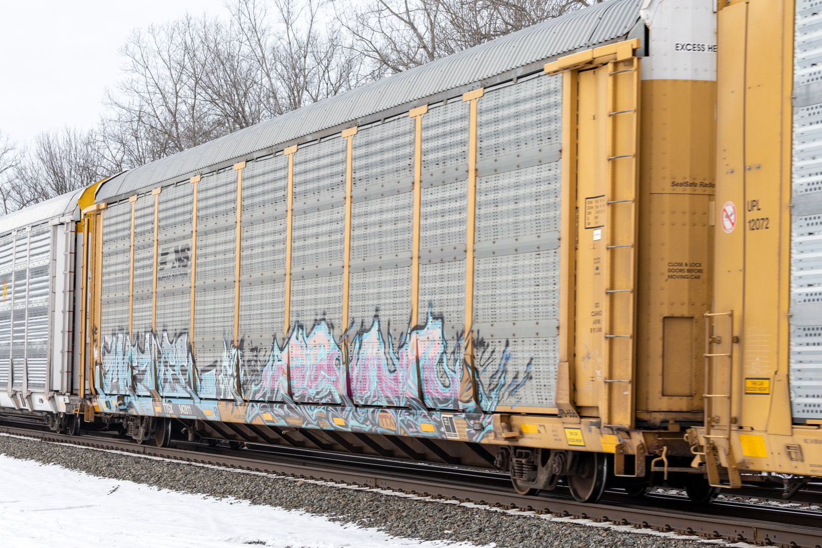 TTGX 942811
