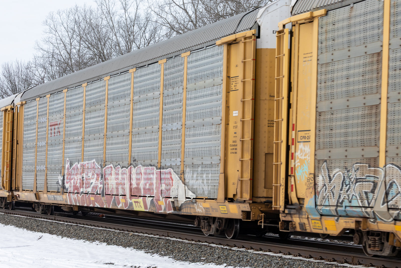TTGX 710848