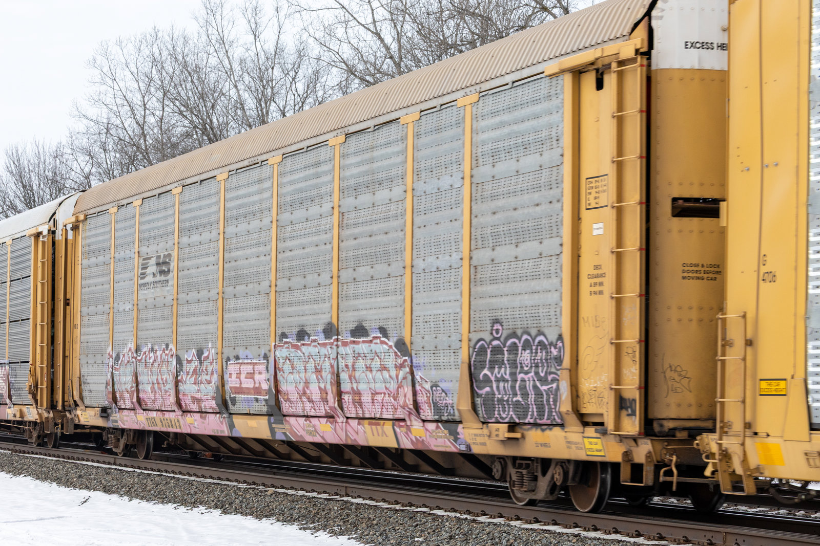 TTGX 975843