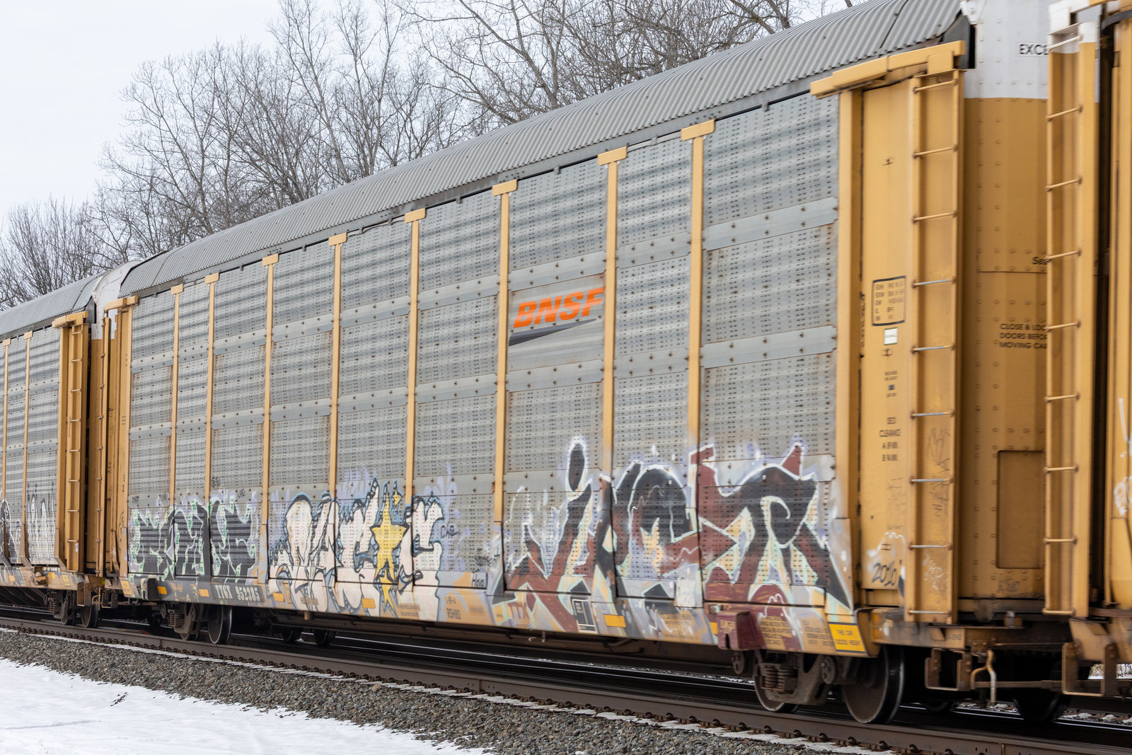 TTGX 952385