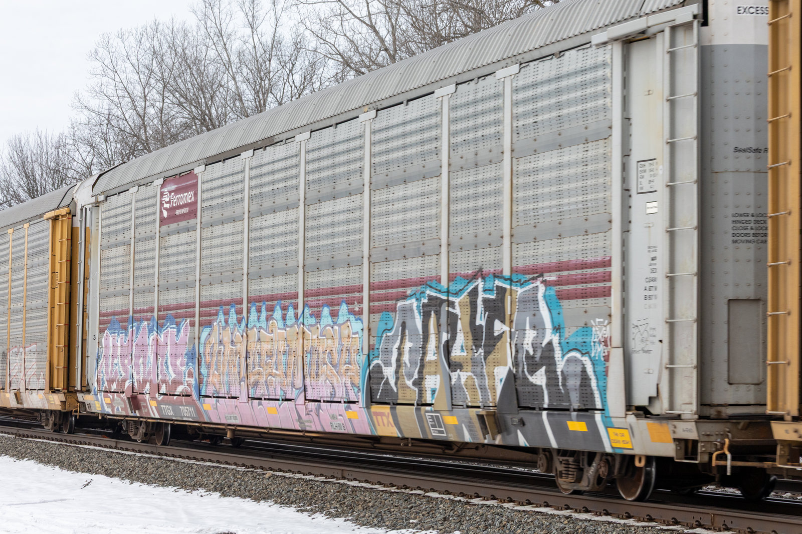 TTGX 705711