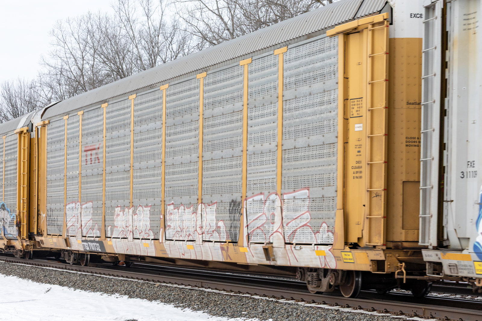 TTGX 710732