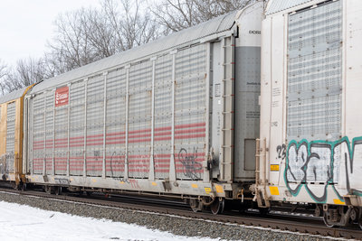 TTGX 707230