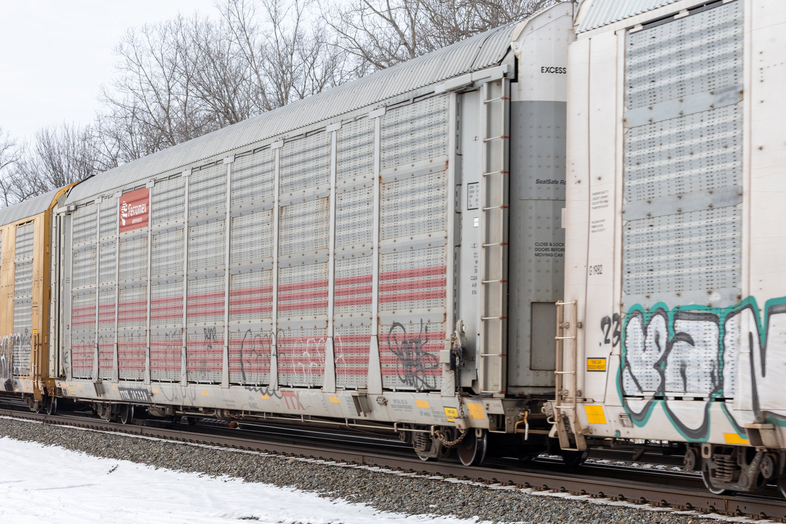 TTGX 707230