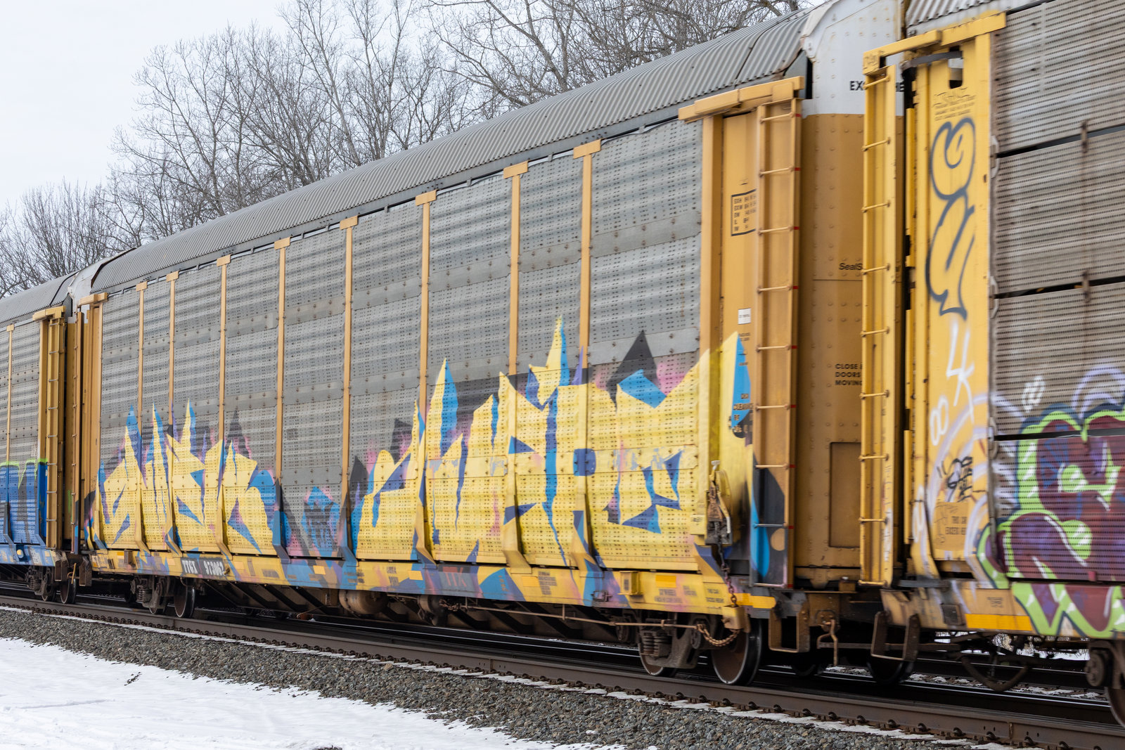 TTGX 973062