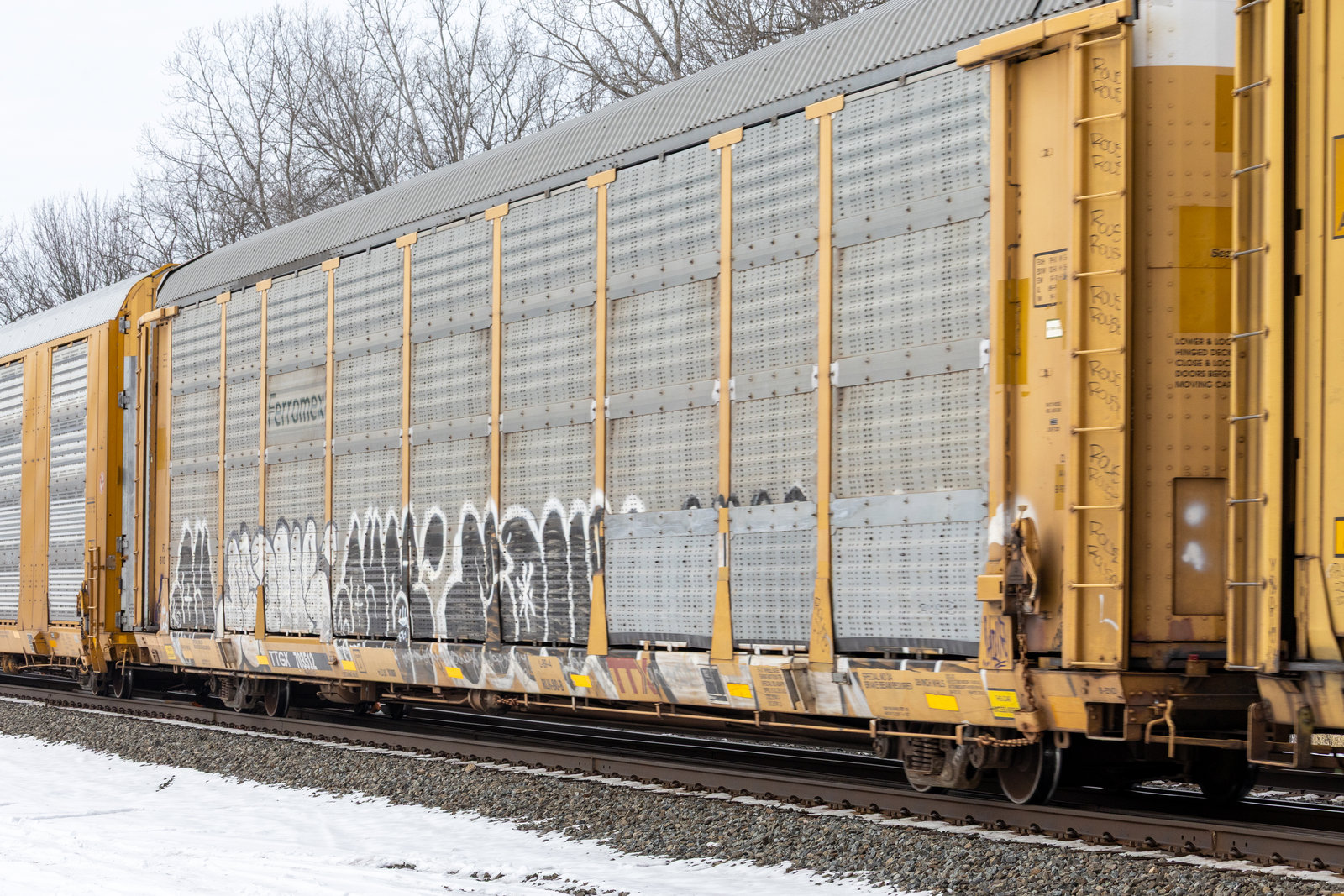 TTGX 703512