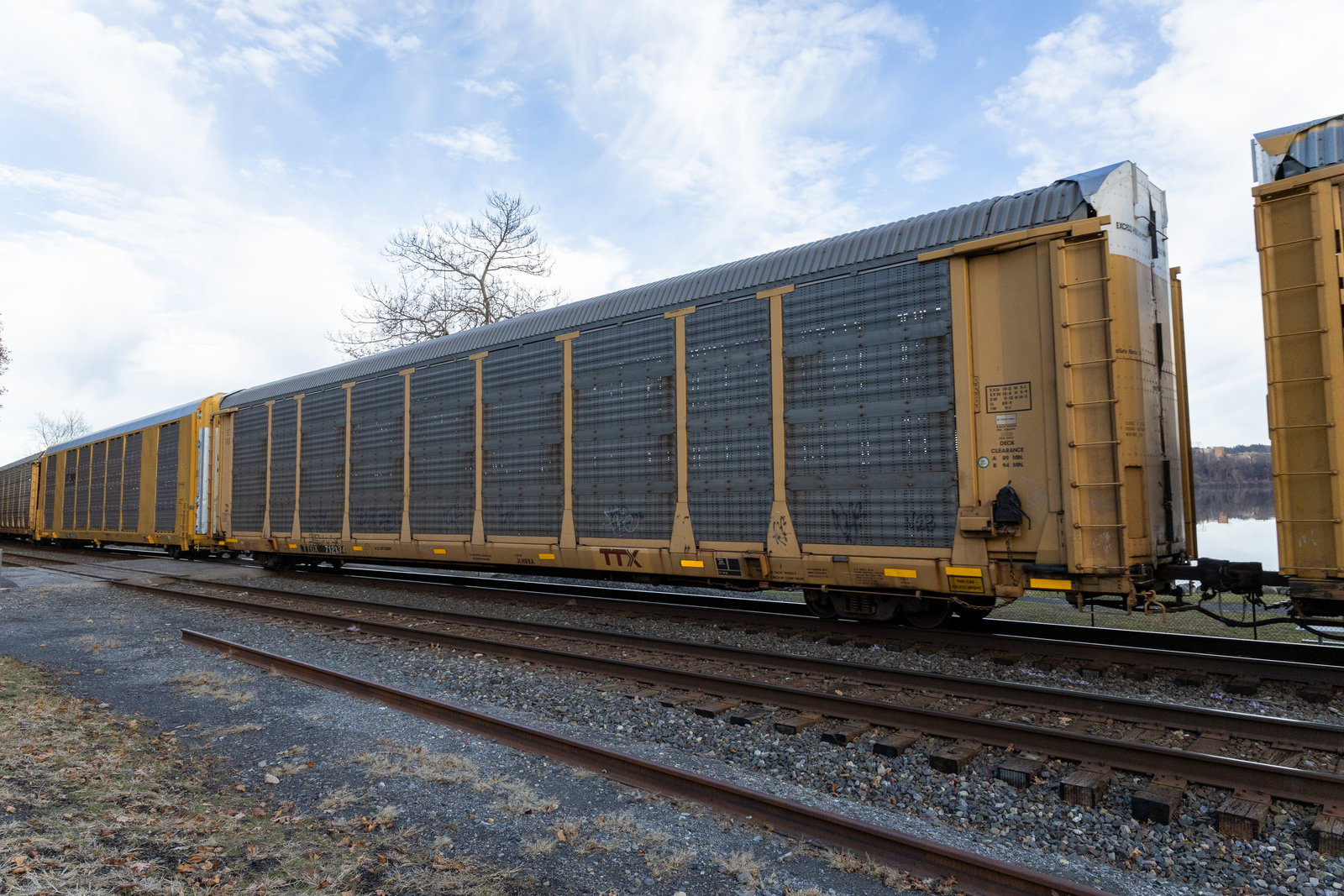 TTGX 712134