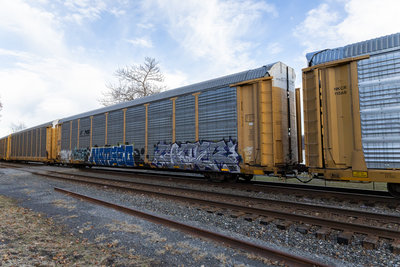 TTGX 704330