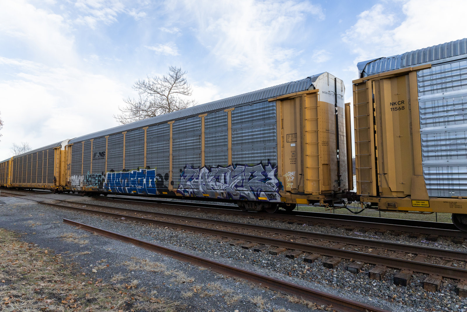 TTGX 704330