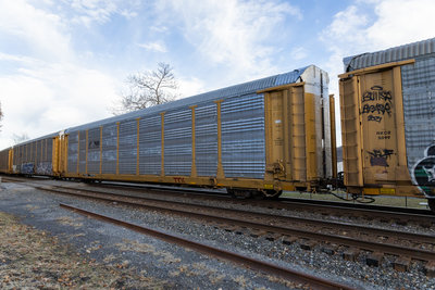 TTGX 711732