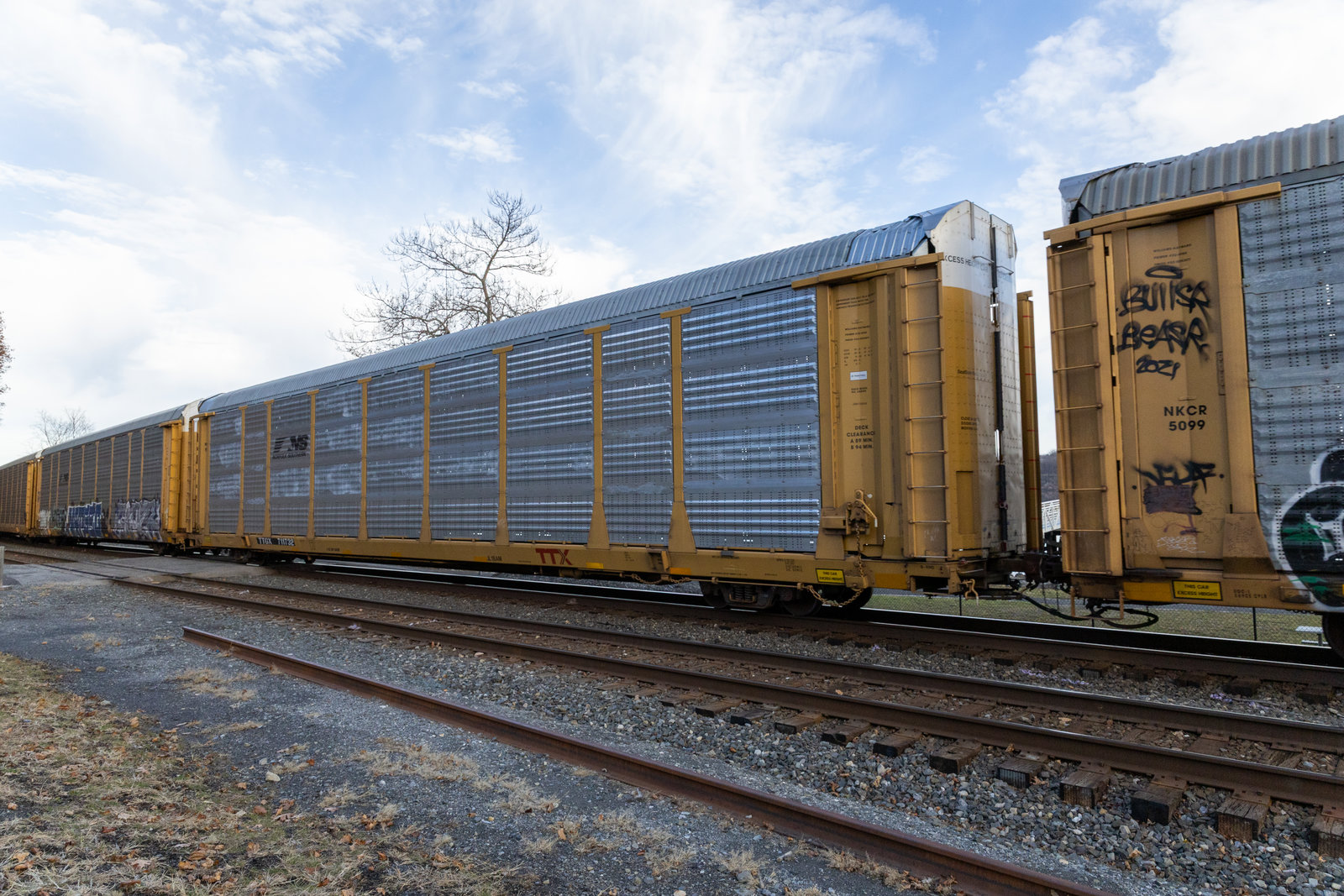 TTGX 711732