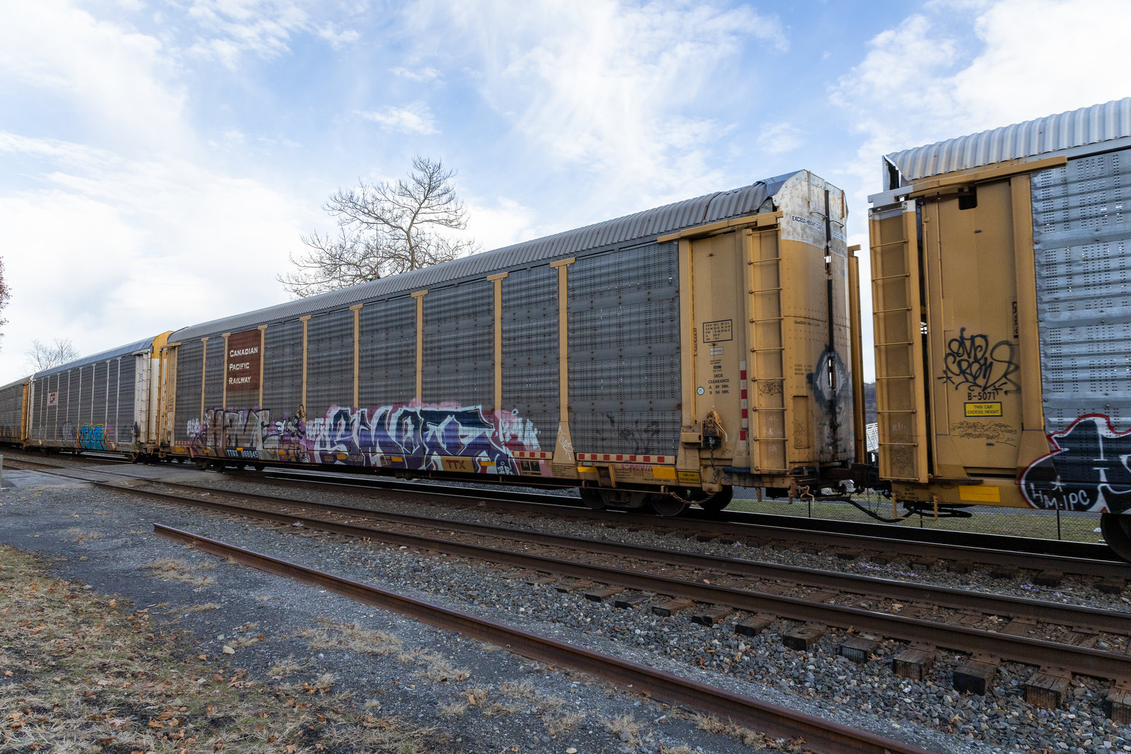 TTGX 988845