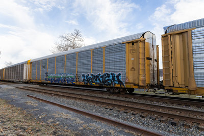 TTGX 253004