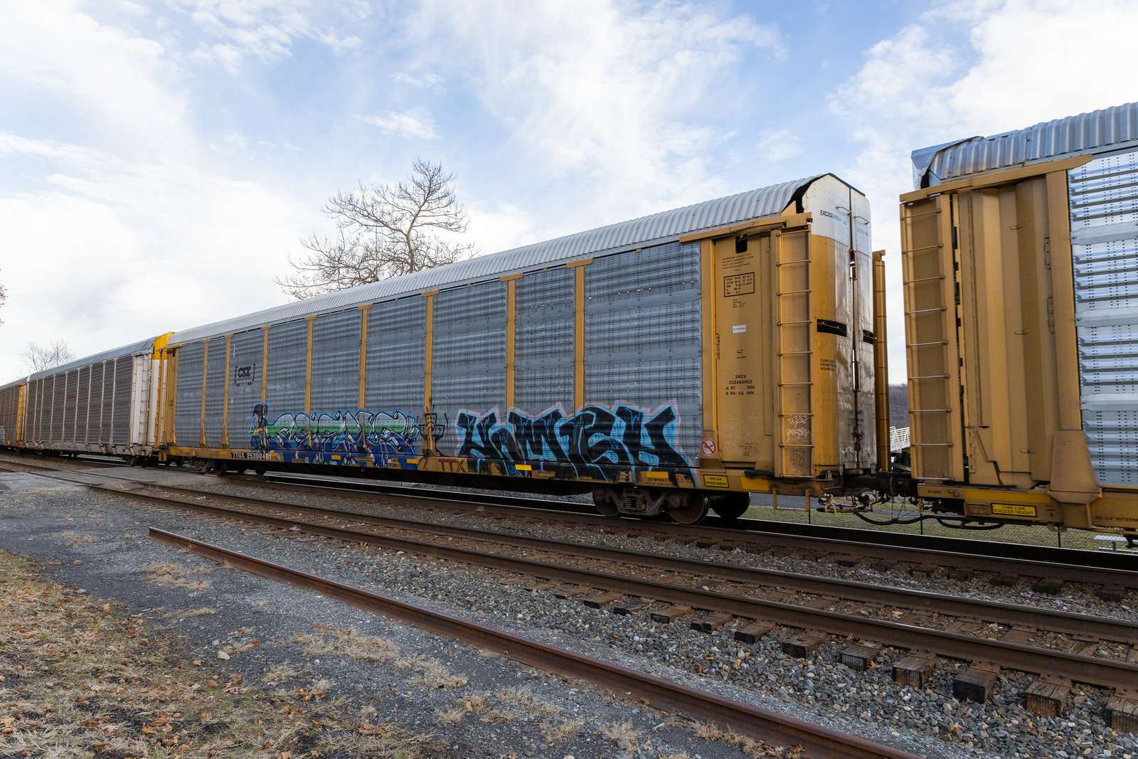 TTGX 253004
