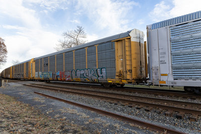 TTGX 704361