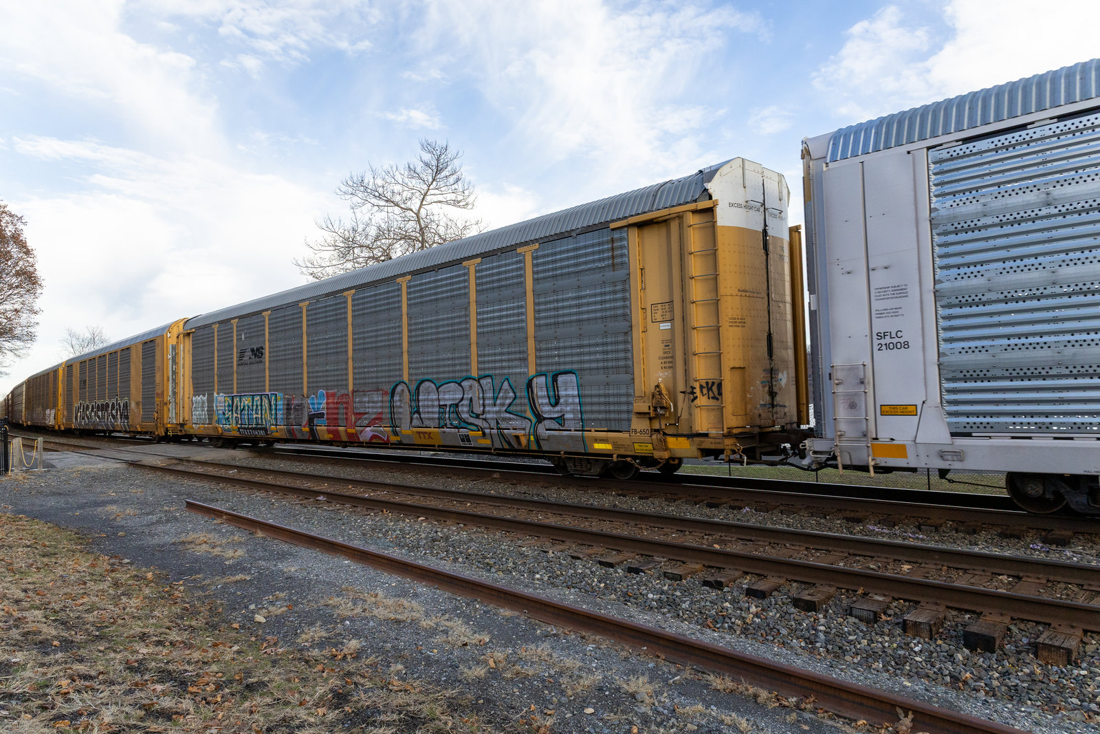 TTGX 704361