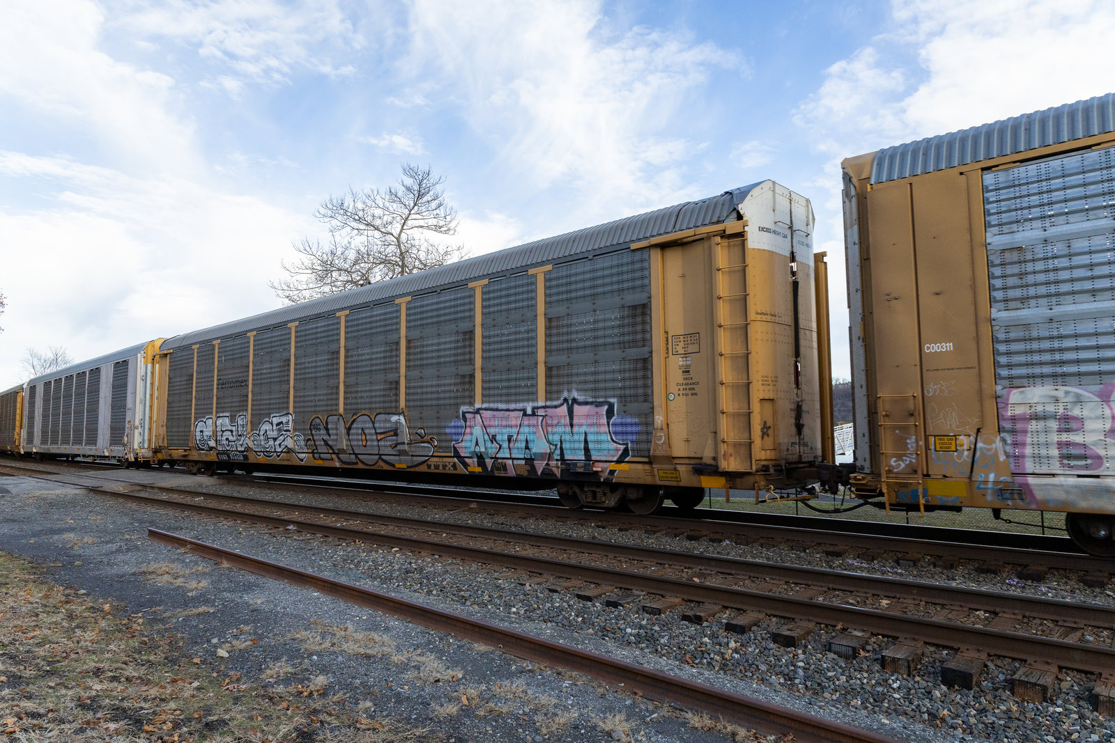TTGX 975458