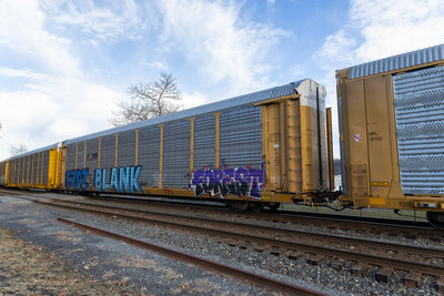 TTGX 707549