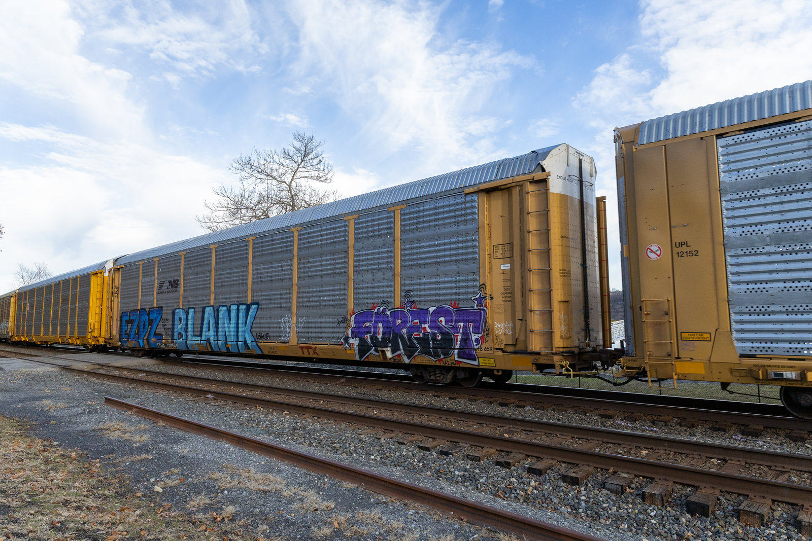 TTGX 707549