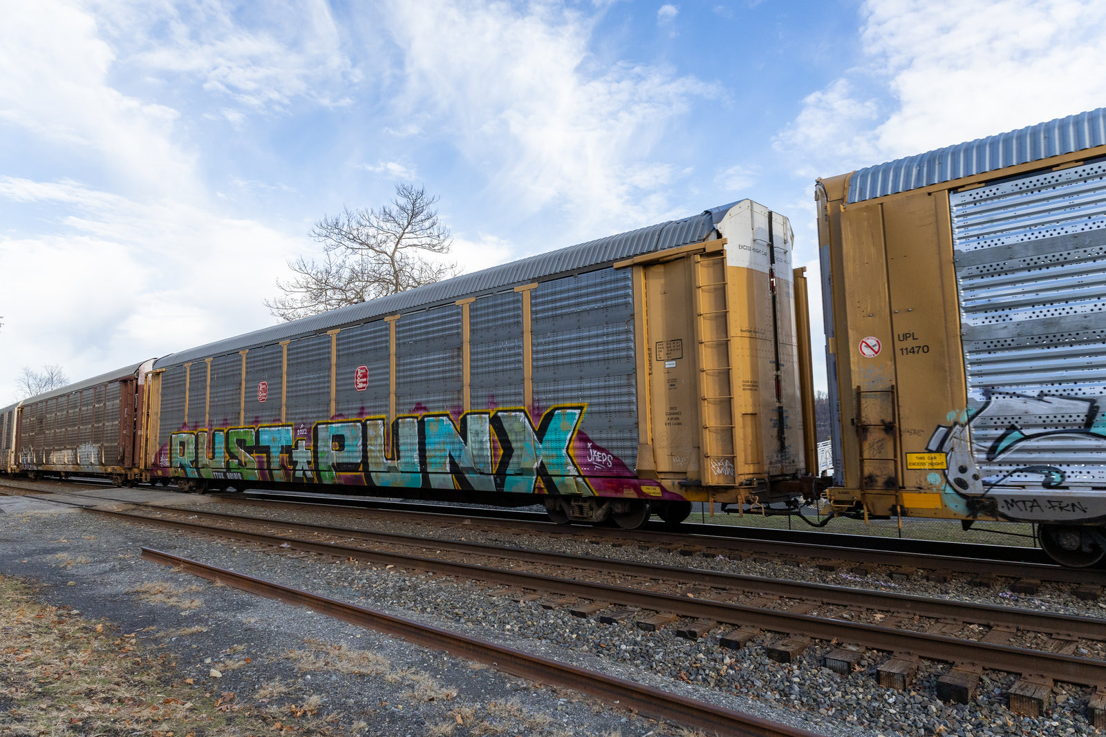 TTGX 981816