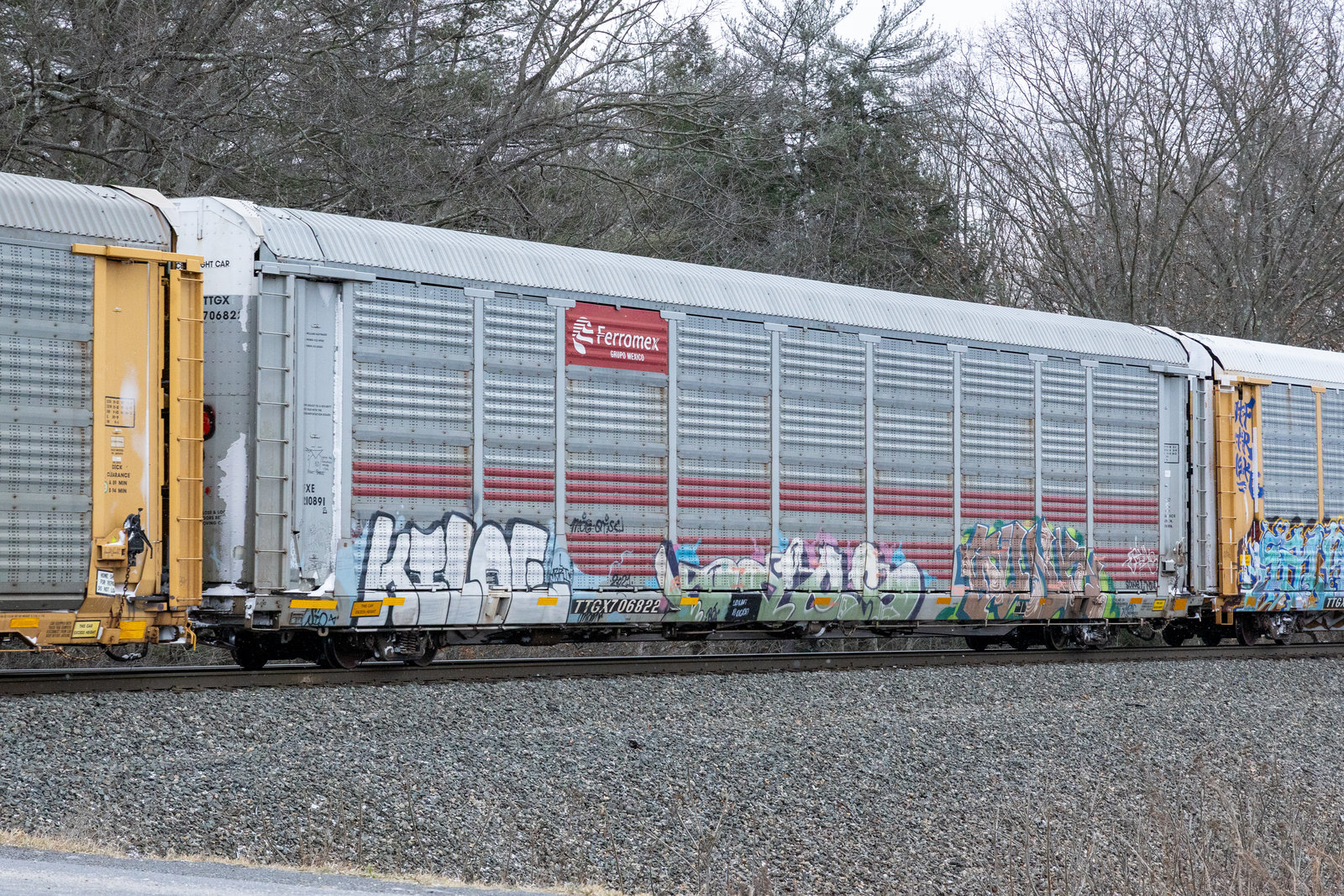 TTGX 706822